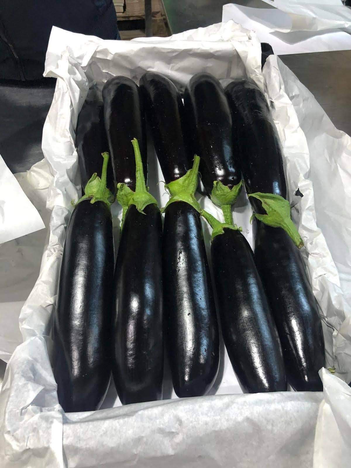 Cucumber