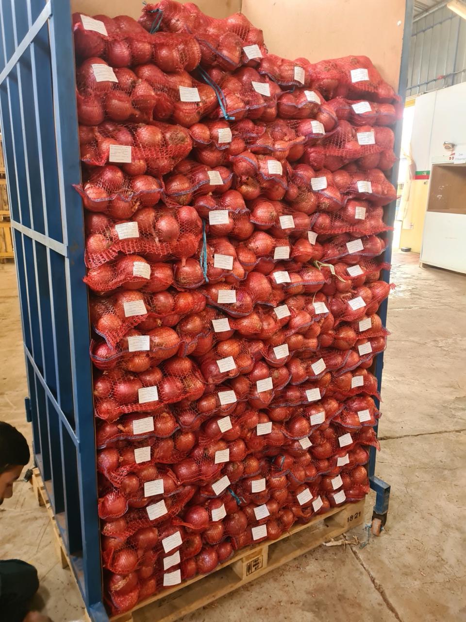 Onion