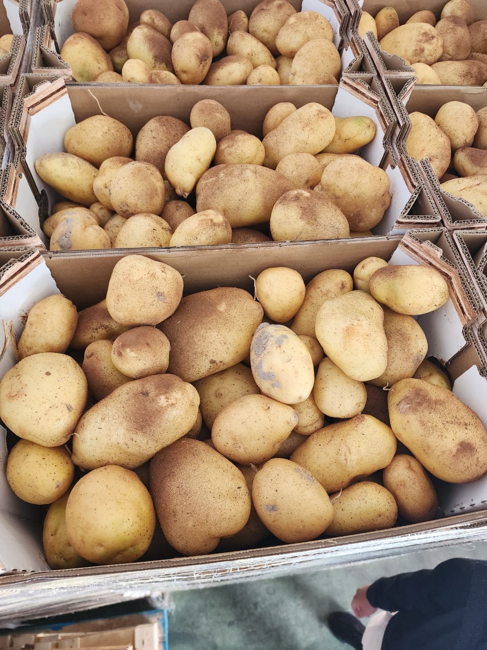 Potatoes