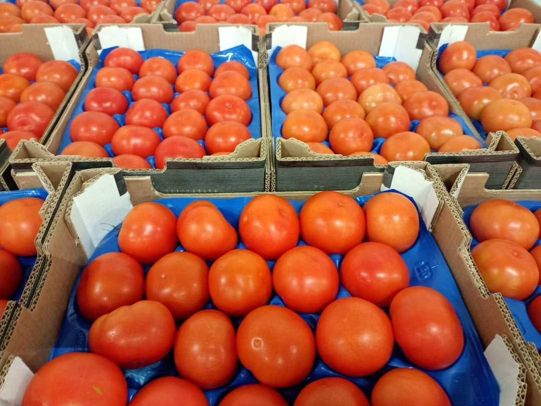 Tomato