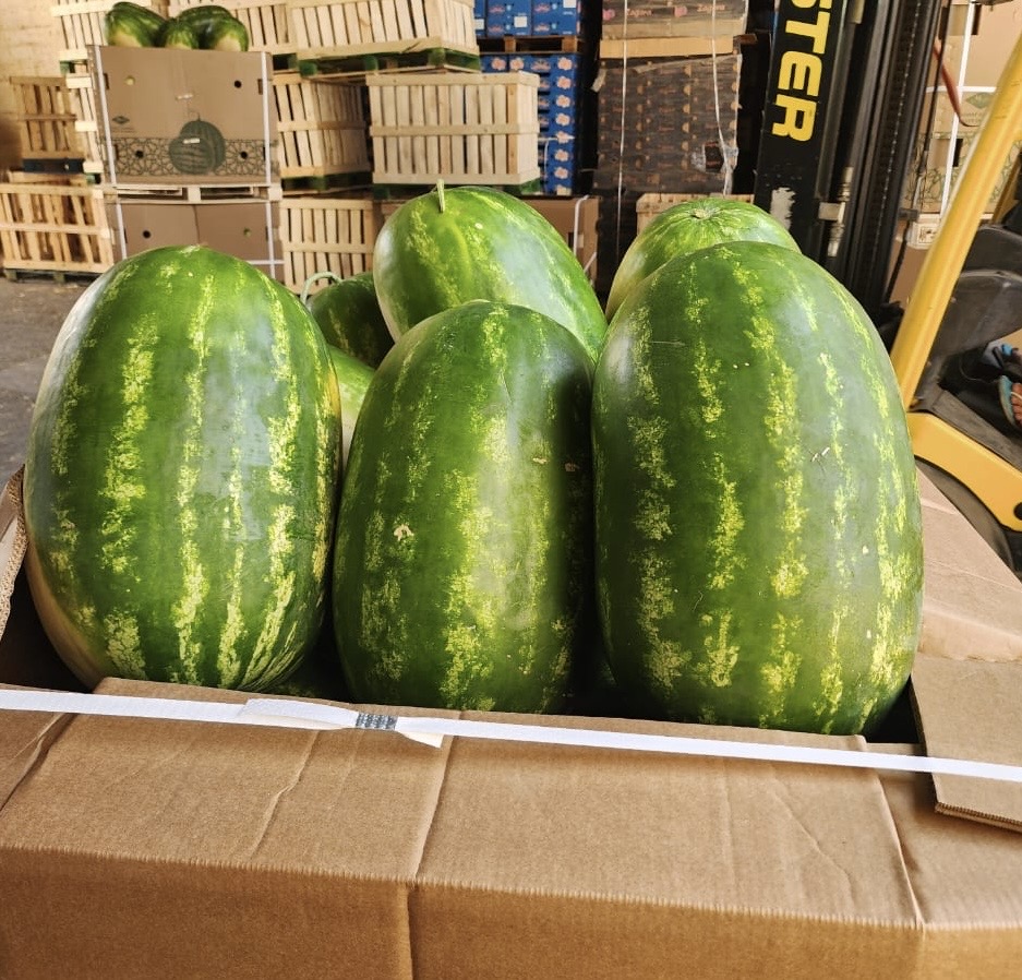 Watermelon